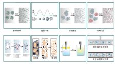 Ultrasonic homogenizer is widely used