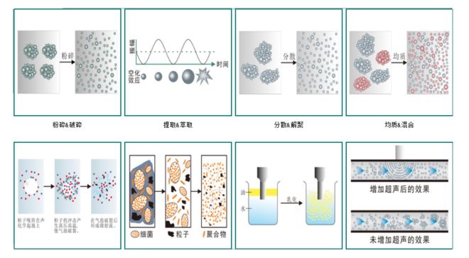 Ultrasonic homogenizer is widely used